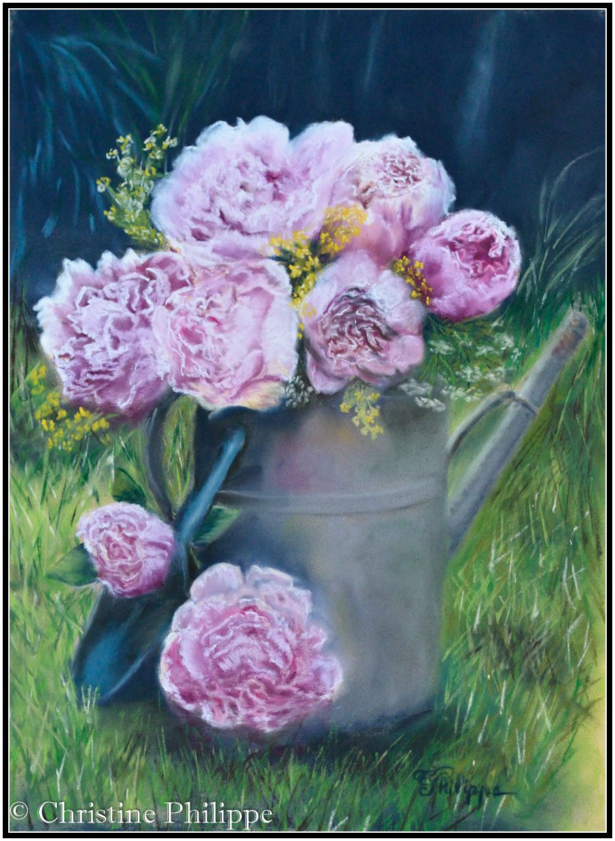 Une belle pivoine