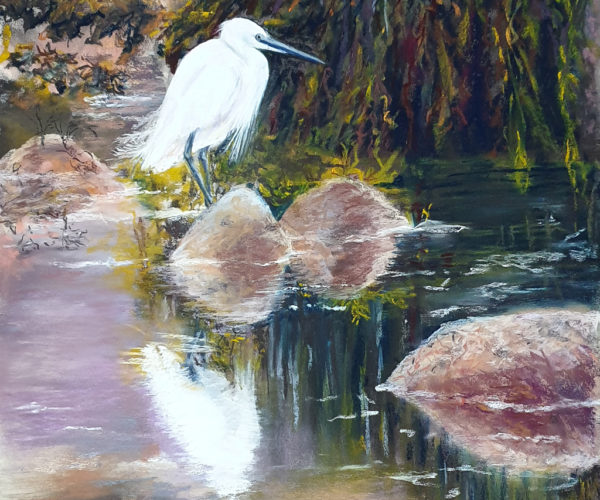 Aigrette sur la Côte de Granit Rose