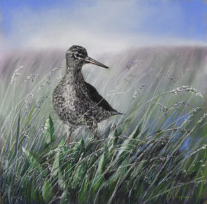 Pastel sec sur pastel mat -  dimensions 30x30 cm et 48x48 encadré.