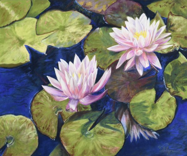 Waterlily ensoleillé