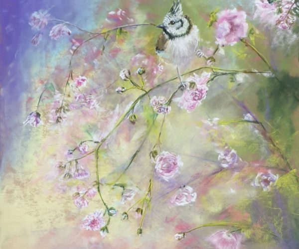 La vie en Rose – Mésange huppée
