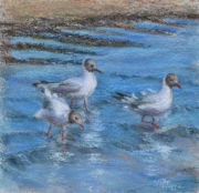 Pastel sec sur papier artisanal (coton/lin) . Les mouettes rieuses jouent avec les vagues qui viennent s'échouer sur la plage de la Couarde (Ile de Ré) cela sent bon les vacances ! (50x50 cm et 70x70cm encadré)