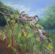 Pastel sec sur pastel mat - 30x30 cm et 48x48 cm encadré. Réalisation très personnelle inspirée par le spectacle du jardin face à ma table de travail !